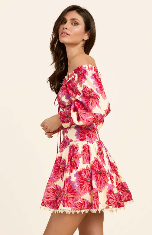 Boho Bloom Mini Dress