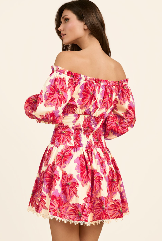 Boho Bloom Mini Dress