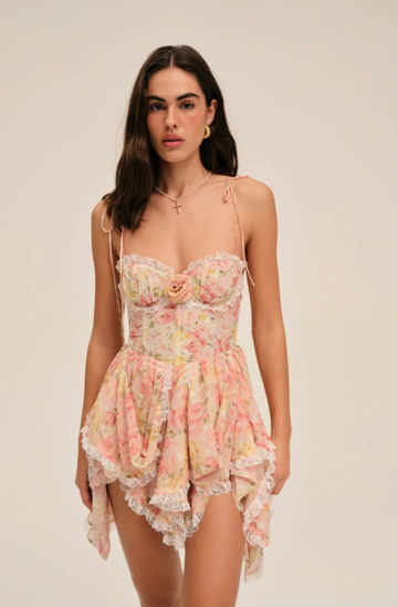Rose Garden Lace Dress