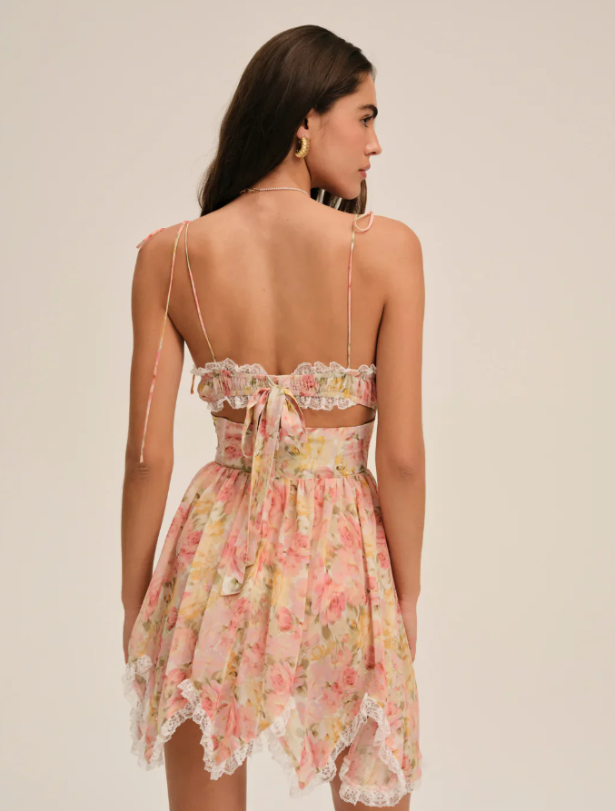 Rose Garden Lace Dress